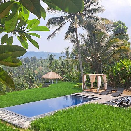 Bali De Pardis Cottage Munduk  Ngoại thất bức ảnh