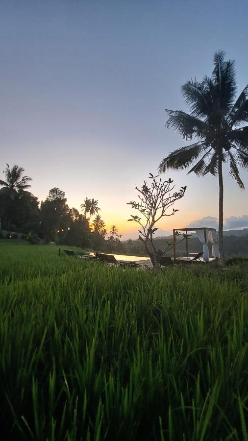 Bali De Pardis Cottage Munduk  Ngoại thất bức ảnh