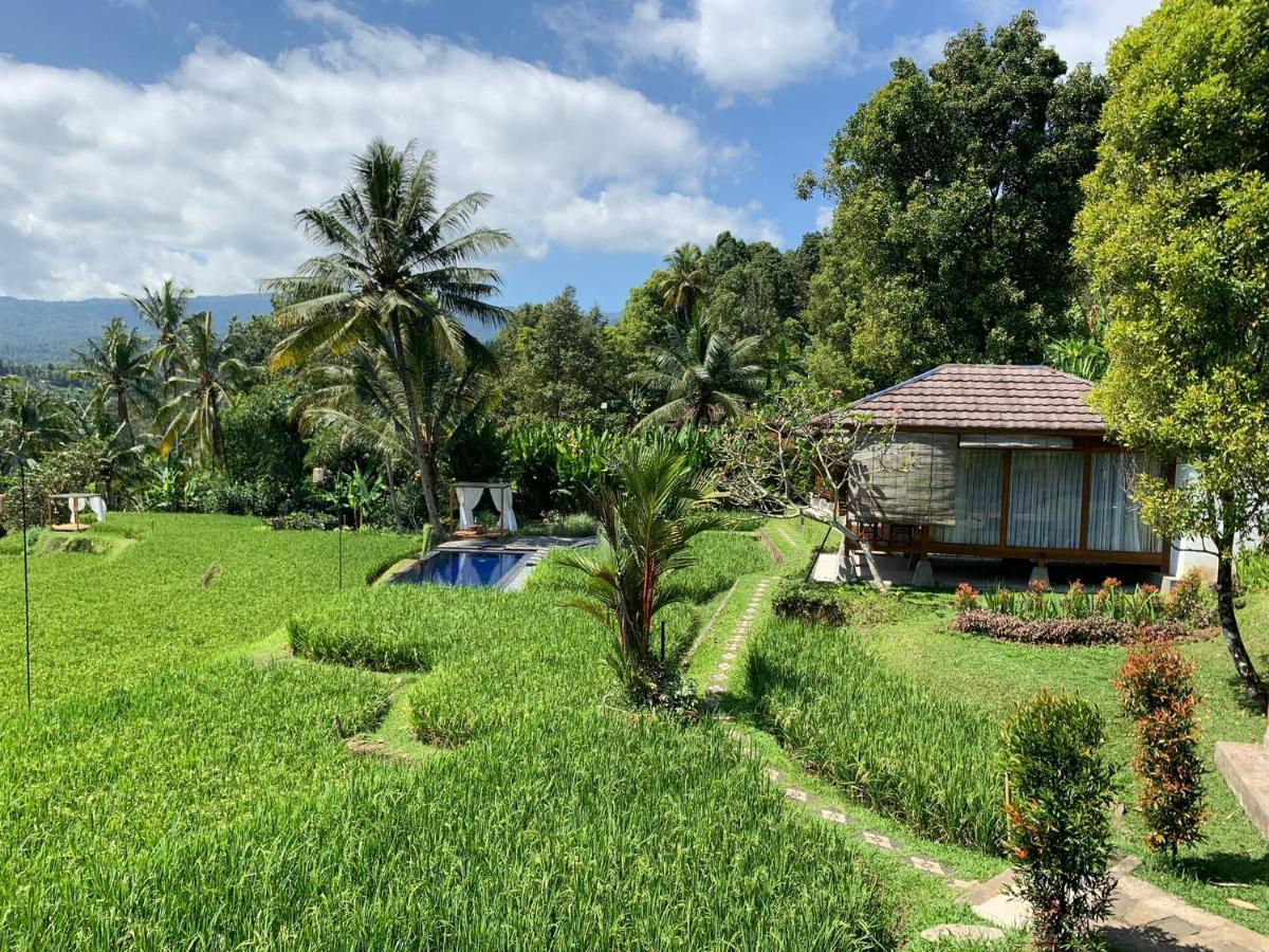 Bali De Pardis Cottage Munduk  Ngoại thất bức ảnh