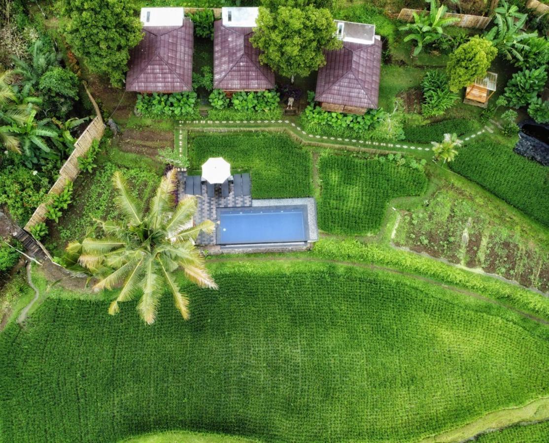 Bali De Pardis Cottage Munduk  Ngoại thất bức ảnh