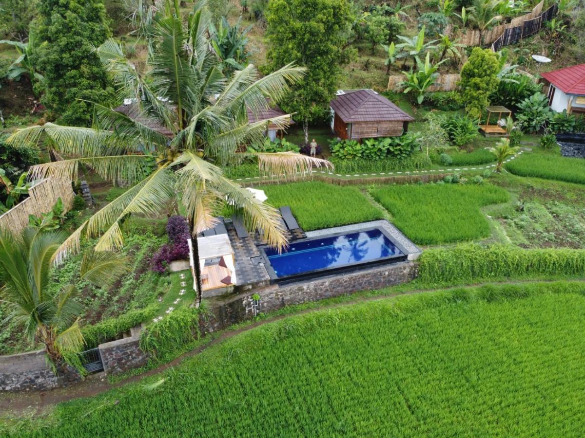 Bali De Pardis Cottage Munduk  Ngoại thất bức ảnh