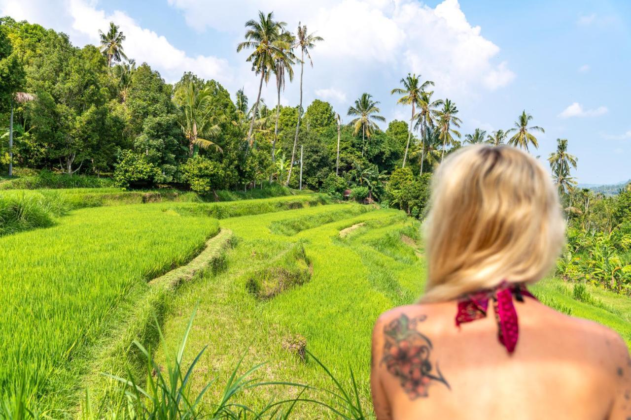 Bali De Pardis Cottage Munduk  Ngoại thất bức ảnh